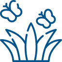 Open event lawn for weddings and group events Open event lawn for weddings and group events